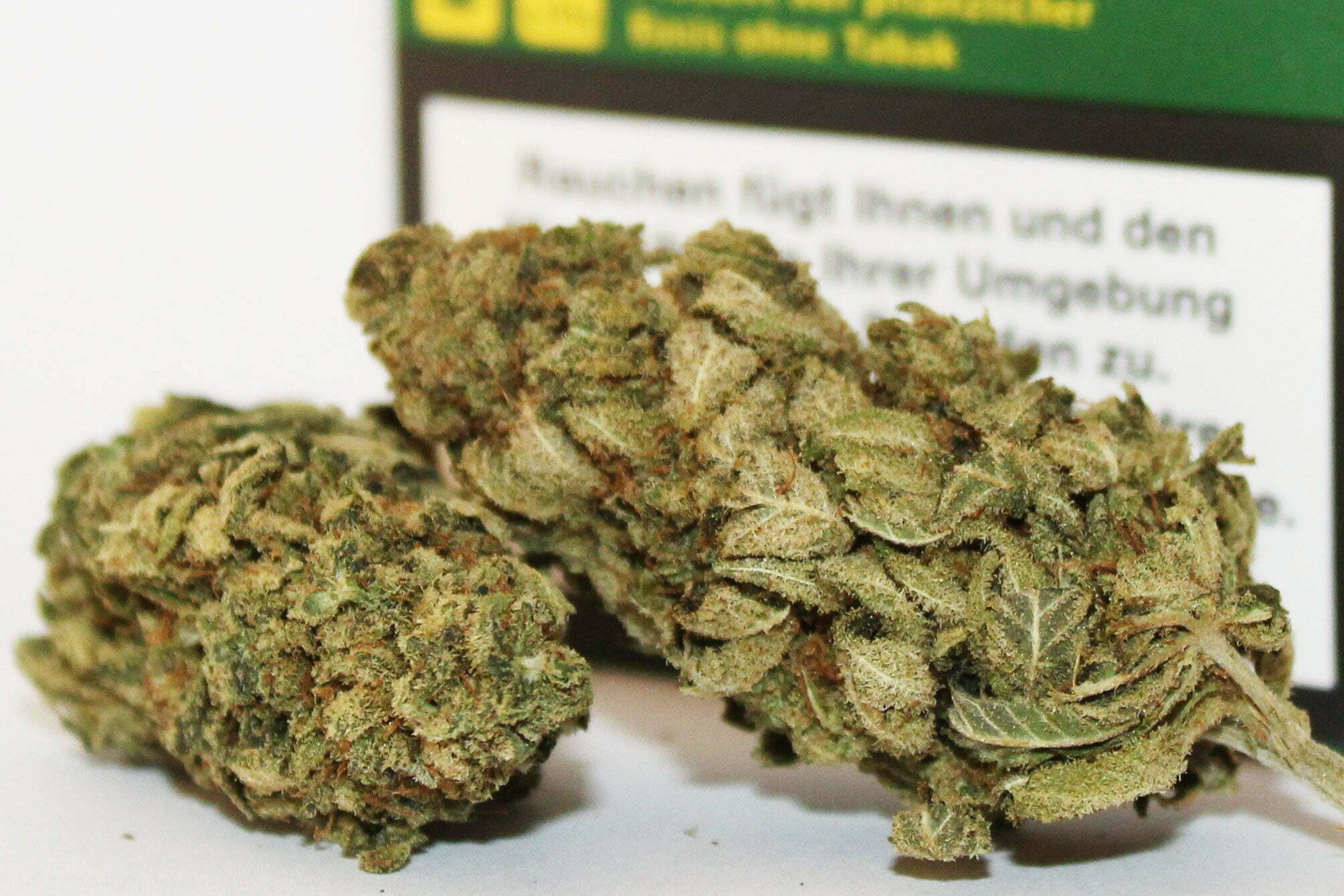 Orange Dream - Zitronic Chronic - Pure Indoor Hanfblüten 1 Orange Dream - Zitronic Chronic - Pure Indoor Hanfblüten