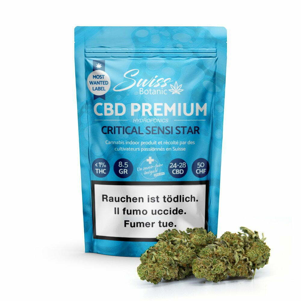 critical sensi star – nano nuggs – swiss botanic – hydrokultur – indoor hanfblüten 4 critical sensi star – nano nuggs – swiss botanic – hydrokultur – indoor hanfblüten – Bild 4
