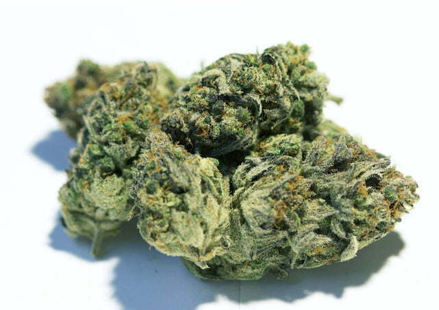 Silver Cream - Holy-Shit - Biologisch - Indoor Hanfblüten 2 Silver Cream - Holy-Shit - Biologisch - Indoor Hanfblüten – Bild 2